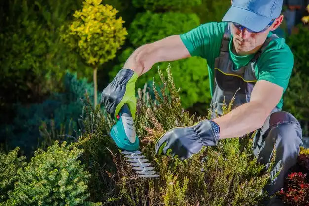 landscaping services Watterson Park